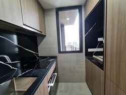 Irwell Hill Residences (D9), Apartment #477515871